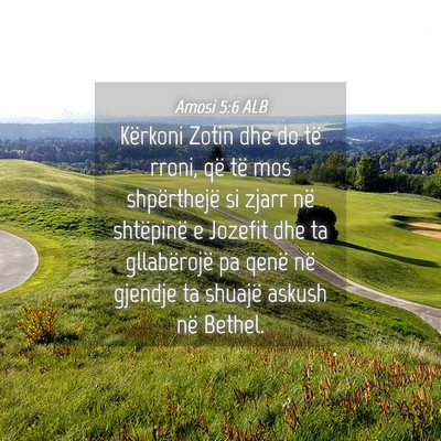 Picture 04 - Amosi 5:6 ALB - Kërkoni Zotin dhe do të rroni, që të mos - Bible Verse Picture