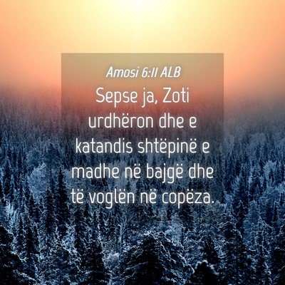 Picture 04 - Amosi 6:11 ALB - Sepse ja, Zoti urdhëron dhe e katandis - Bible Verse Picture