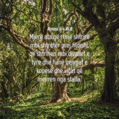 Picture 04 - Amosi 6:4 ALB - Mjerë ata që rrinë shtrirë mbi shtretër prej - Bible Verse Picture