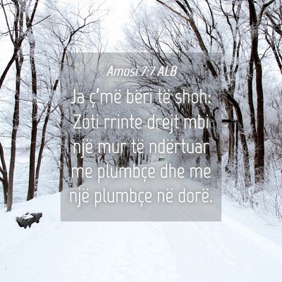 Picture 04 - Amosi 7:7 ALB - Ja ç’më bëri të shoh: Zoti rrinte drejt mbi - Bible Verse Picture