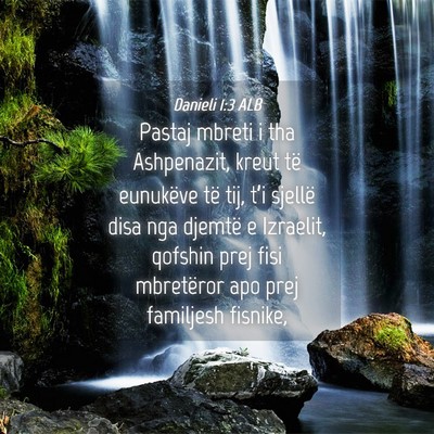 Picture 04 - Danieli 1:3 ALB - Pastaj mbreti i tha Ashpenazit, kreut të - Bible Verse Picture