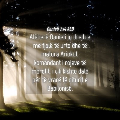 Picture 04 - Danieli 2:14 ALB - Atëherë Danieli iu drejtua me fjalë të urta - Bible Verse Picture