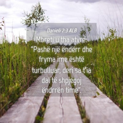 Picture 04 - Danieli 2:3 ALB - Mbreti u tha atyre: 
