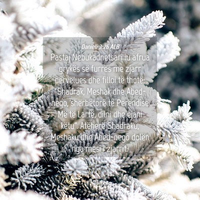 Picture 04 - Danieli 3:26 ALB - Pastaj Nebukadnetsari iu afrua grykës së - Bible Verse Picture