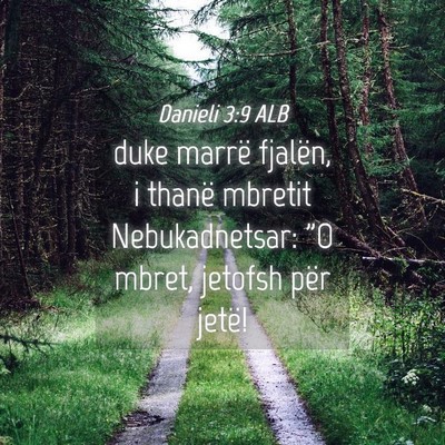 Picture 04 - Danieli 3:9 ALB - duke marrë fjalën, i thanë mbretit - Bible Verse Picture