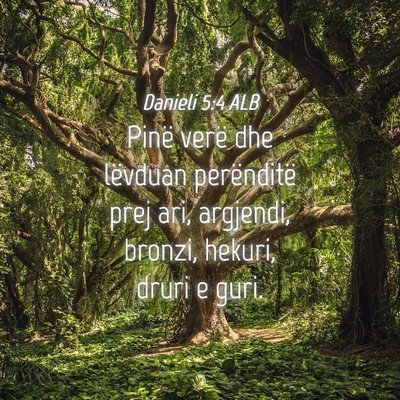 Picture 04 - Danieli 5:4 ALB - Pinë verë dhe lëvduan perënditë prej ari, - Bible Verse Picture
