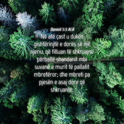 Picture 04 - Danieli 5:5 ALB - Në atë çast u dukën gishtërinjtë e dorës - Bible Verse Picture