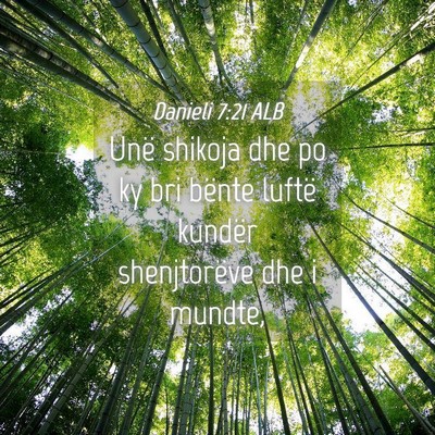 Picture 04 - Danieli 7:21 ALB - Unë shikoja dhe po ky bri bënte luftë kundër - Bible Verse Picture