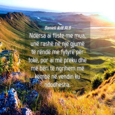Picture 04 - Danieli 8:18 ALB - Ndërsa ai fliste me mua, unë rashë në një - Bible Verse Picture