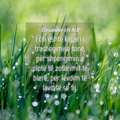 Picture 04 - Efesianëve 1:14 ALB - i cili është kapari i trashëgimisë tonë, - Bible Verse Picture