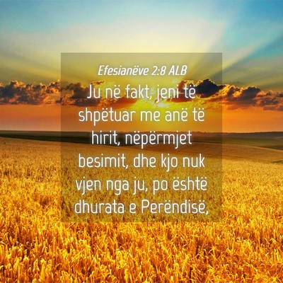 Picture 04 - Efesianëve 2:8 ALB - Ju në fakt, jeni të shpëtuar me anë të - Bible Verse Picture