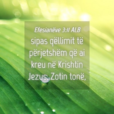 Picture 04 - Efesianëve 3:11 ALB - sipas qëllimit të përjetshëm që ai kreu në - Bible Verse Picture