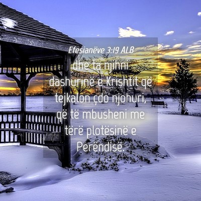 Picture 04 - Efesianëve 3:19 ALB - dhe ta njihni dashurinë e Krishtit që tejkalon - Bible Verse Picture