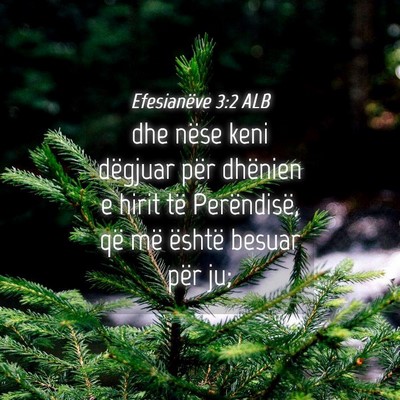 Picture 04 - Efesianëve 3:2 ALB - dhe nëse keni dëgjuar për dhënien e hirit të - Bible Verse Picture