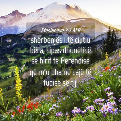 Picture 04 - Efesianëve 3:7 ALB - shërbenjës i të cilit u bëra, sipas - Bible Verse Picture
