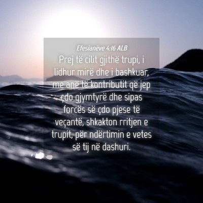 Picture 04 - Efesianëve 4:16 ALB - Prej të cilit gjithë trupi, i lidhur mirë dhe - Bible Verse Picture