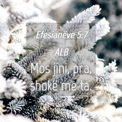 Picture 04 - Efesianëve 5:7 ALB - Mos jini, pra, shokë me - Bible Verse Picture