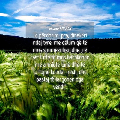 Picture 04 - Eksodi 1:10 ALB - Të përdorim, pra, dinakëri ndaj tyre, me - Bible Verse Picture