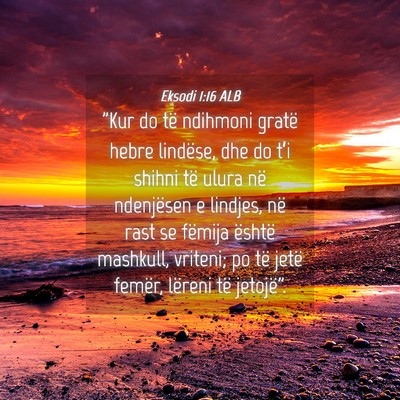 Picture 04 - Eksodi 1:16 ALB - 