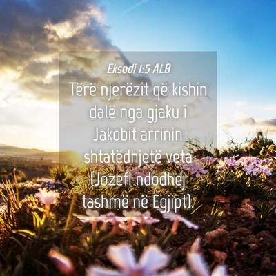 Picture 04 - Eksodi 1:5 ALB - Tërë njerëzit që kishin dalë nga gjaku i - Bible Verse Picture