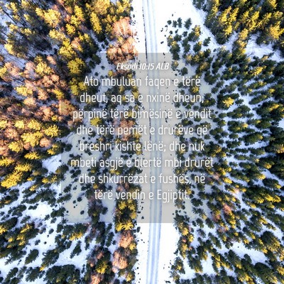 Picture 04 - Eksodi 10:15 ALB - Ato mbuluan faqen e tërë dheut, aq sa e nxinë - Bible Verse Picture