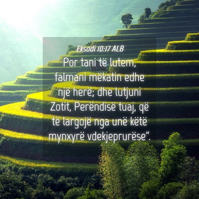 Picture 04 - Eksodi 10:17 ALB - Por tani të lutem, falmani mëkatin edhe një - Bible Verse Picture