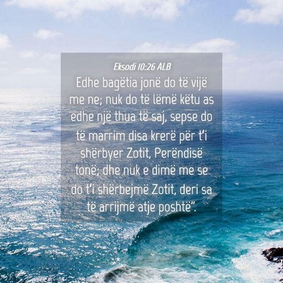 Picture 04 - Eksodi 10:26 ALB - Edhe bagëtia jonë do të vijë me ne; nuk do - Bible Verse Picture