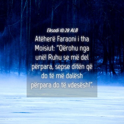 Picture 04 - Eksodi 10:28 ALB - Atëherë Faraoni i tha Moisiut: 