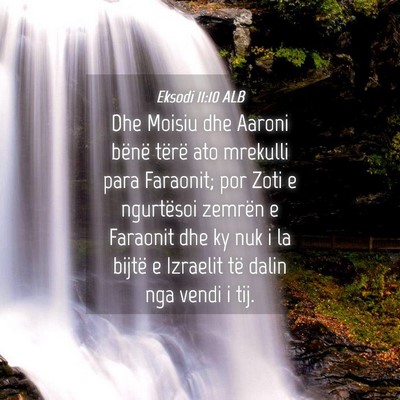 Picture 04 - Eksodi 11:10 ALB - Dhe Moisiu dhe Aaroni bënë tërë ato mrekulli - Bible Verse Picture
