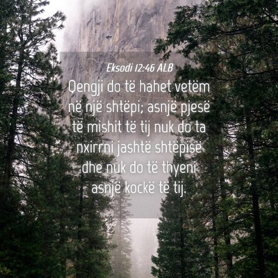 Picture 04 - Eksodi 12:46 ALB - Qengji do të hahet vetëm në një shtëpi; - Bible Verse Picture