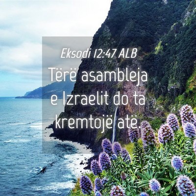 Picture 04 - Eksodi 12:47 ALB - Tërë asambleja e Izraelit do ta kremtojë - Bible Verse Picture