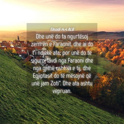 Picture 04 - Eksodi 14:4 ALB - Dhe unë do ta ngurtësoj zemrën e Faraonit, dhe - Bible Verse Picture
