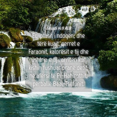 Picture 04 - Eksodi 14:9 ALB - Egjiptasit i ndoqën; dhe tërë kuajt, qerret e - Bible Verse Picture