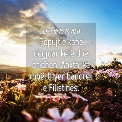Picture 04 - Eksodi 15:14 ALB - Popujt e kanë dëgjuar këtë dhe dridhen. - Bible Verse Picture