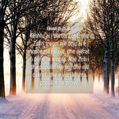 Picture 04 - Eksodi 15:25 ALB - Kështu ai i bërtiti Zotit; dhe Zoti i tregoi - Bible Verse Picture