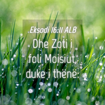 Picture 04 - Eksodi 16:11 ALB - Dhe Zoti i foli Moisiut, duke i - Bible Verse Picture