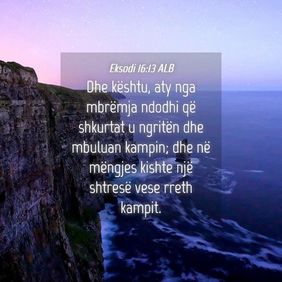 Picture 04 - Eksodi 16:13 ALB - Dhe kështu, aty nga mbrëmja ndodhi që shkurtat - Bible Verse Picture