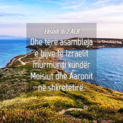Picture 04 - Eksodi 16:2 ALB - Dhe tërë asambleja e bijve të Izraelit - Bible Verse Picture