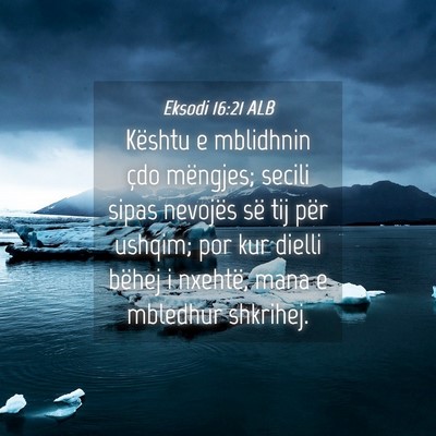 Picture 04 - Eksodi 16:21 ALB - Kështu e mblidhnin çdo mëngjes; secili sipas - Bible Verse Picture