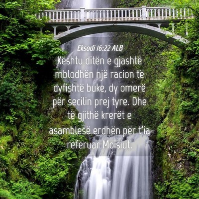 Picture 04 - Eksodi 16:22 ALB - Kështu ditën e gjashtë mblodhën një racion - Bible Verse Picture