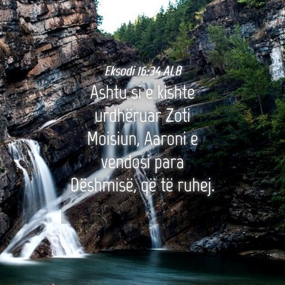 Picture 04 - Eksodi 16:34 ALB - Ashtu si e kishte urdhëruar Zoti Moisiun, Aaroni - Bible Verse Picture