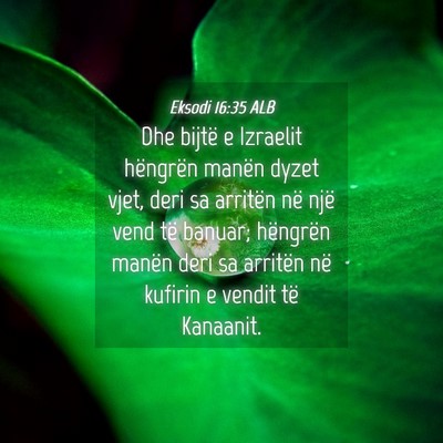 Picture 04 - Eksodi 16:35 ALB - Dhe bijtë e Izraelit hëngrën manën dyzet - Bible Verse Picture