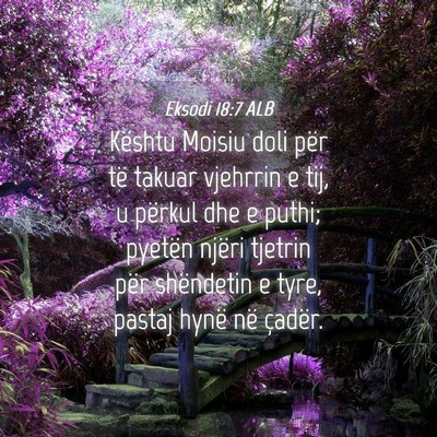 Picture 04 - Eksodi 18:7 ALB - Kështu Moisiu doli për të takuar vjehrrin e - Bible Verse Picture