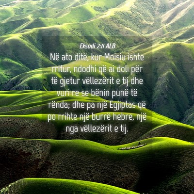 Picture 04 - Eksodi 2:11 ALB - Në ato ditë, kur Moisiu ishte rritur, ndodhi - Bible Verse Picture