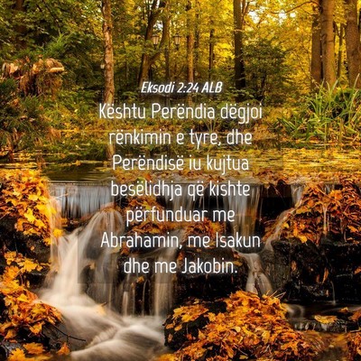 Picture 04 - Eksodi 2:24 ALB - Kështu Perëndia dëgjoi rënkimin e tyre, dhe - Bible Verse Picture
