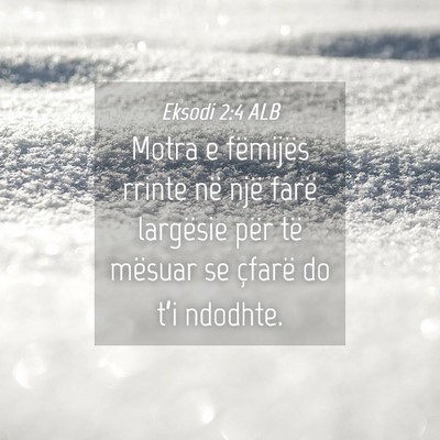 Picture 04 - Eksodi 2:4 ALB - Motra e fëmijës rrinte në një farë largësie - Bible Verse Picture