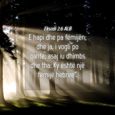 Picture 04 - Eksodi 2:6 ALB - E hapi dhe pa fëmijën; dhe ja, i vogli po - Bible Verse Picture