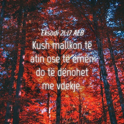 Picture 04 - Eksodi 21:17 ALB - Kush mallkon të atin ose të ëmën do të - Bible Verse Picture