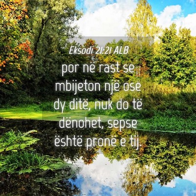 Picture 04 - Eksodi 21:21 ALB - por në rast se mbijeton një ose dy ditë, nuk - Bible Verse Picture