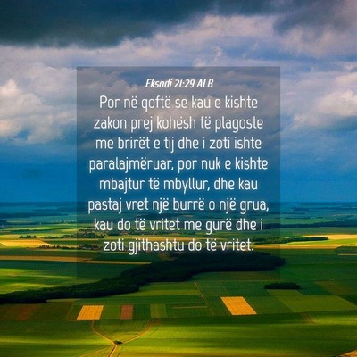 Picture 04 - Eksodi 21:29 ALB - Por në qoftë se kau e kishte zakon prej kohësh - Bible Verse Picture